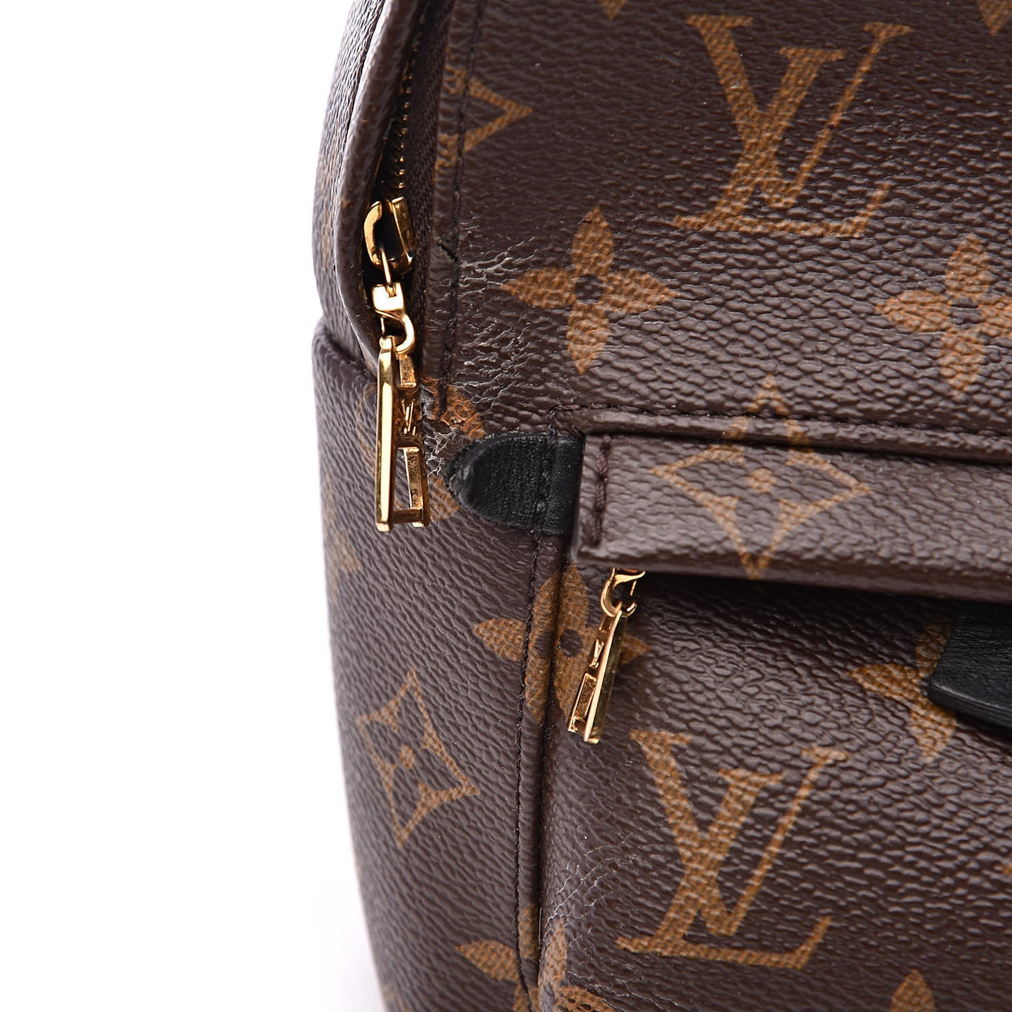 Monogram Palm Springs Backpack Mini