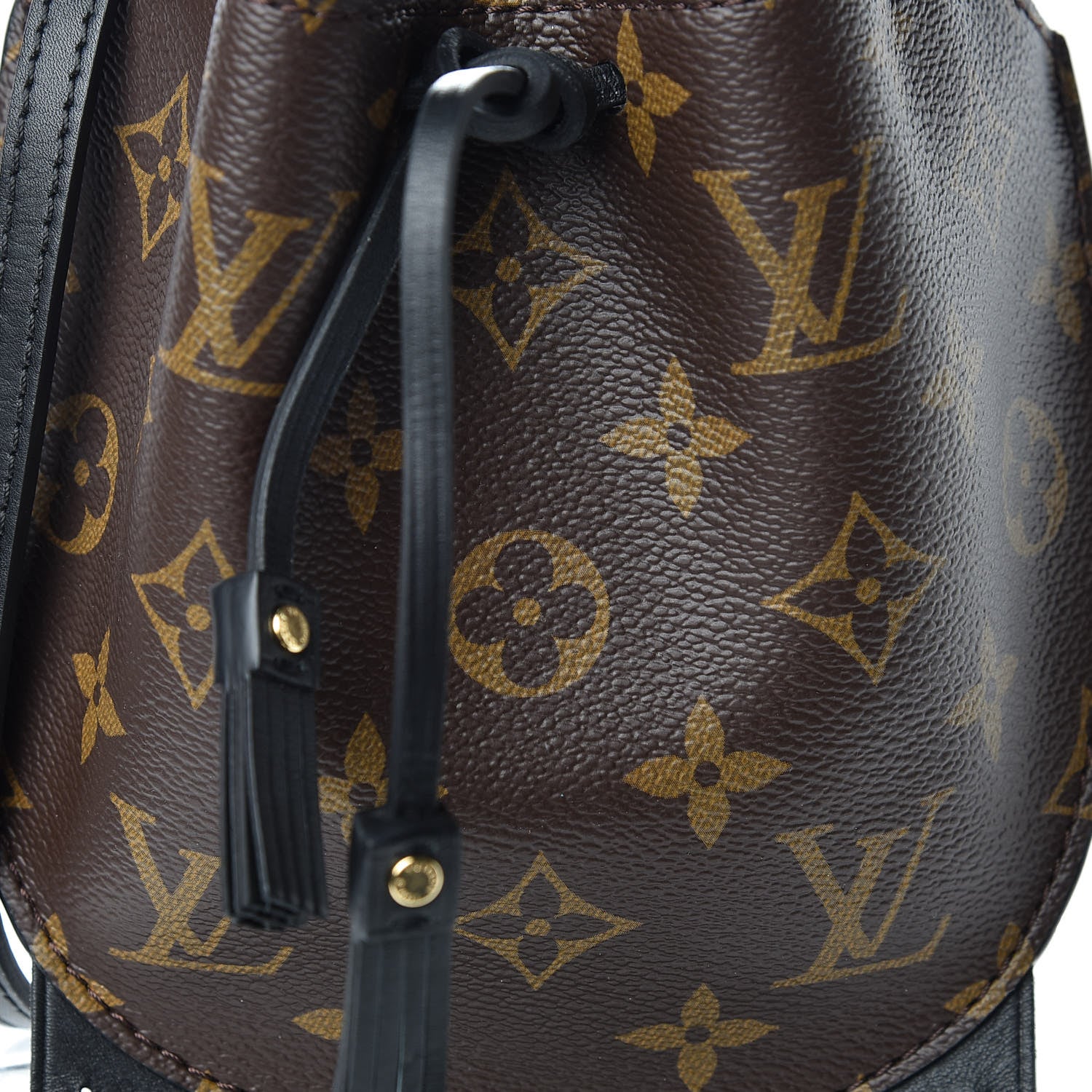 Louis Vuitton Monogram Fringed Mini Noe 9 of 9