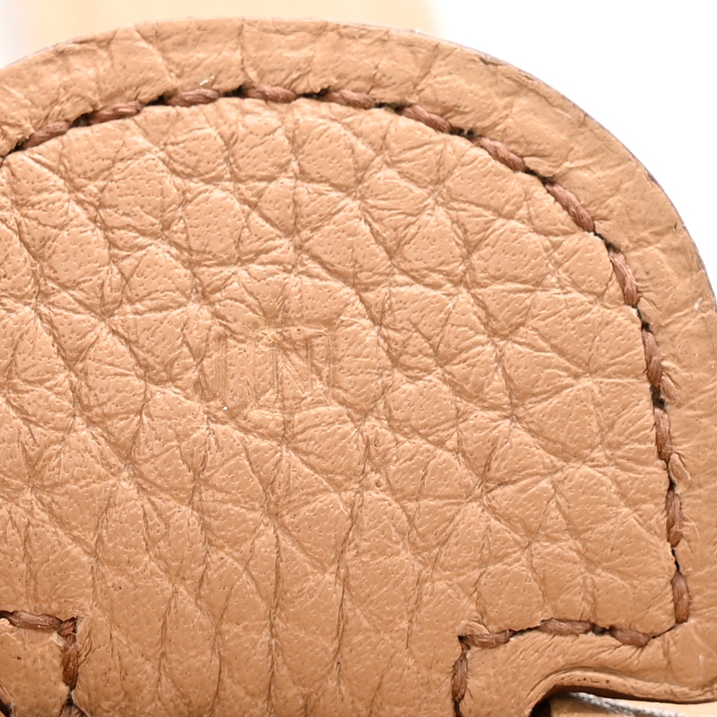 Taurillon Clemence Evelyne III GM Biscuit