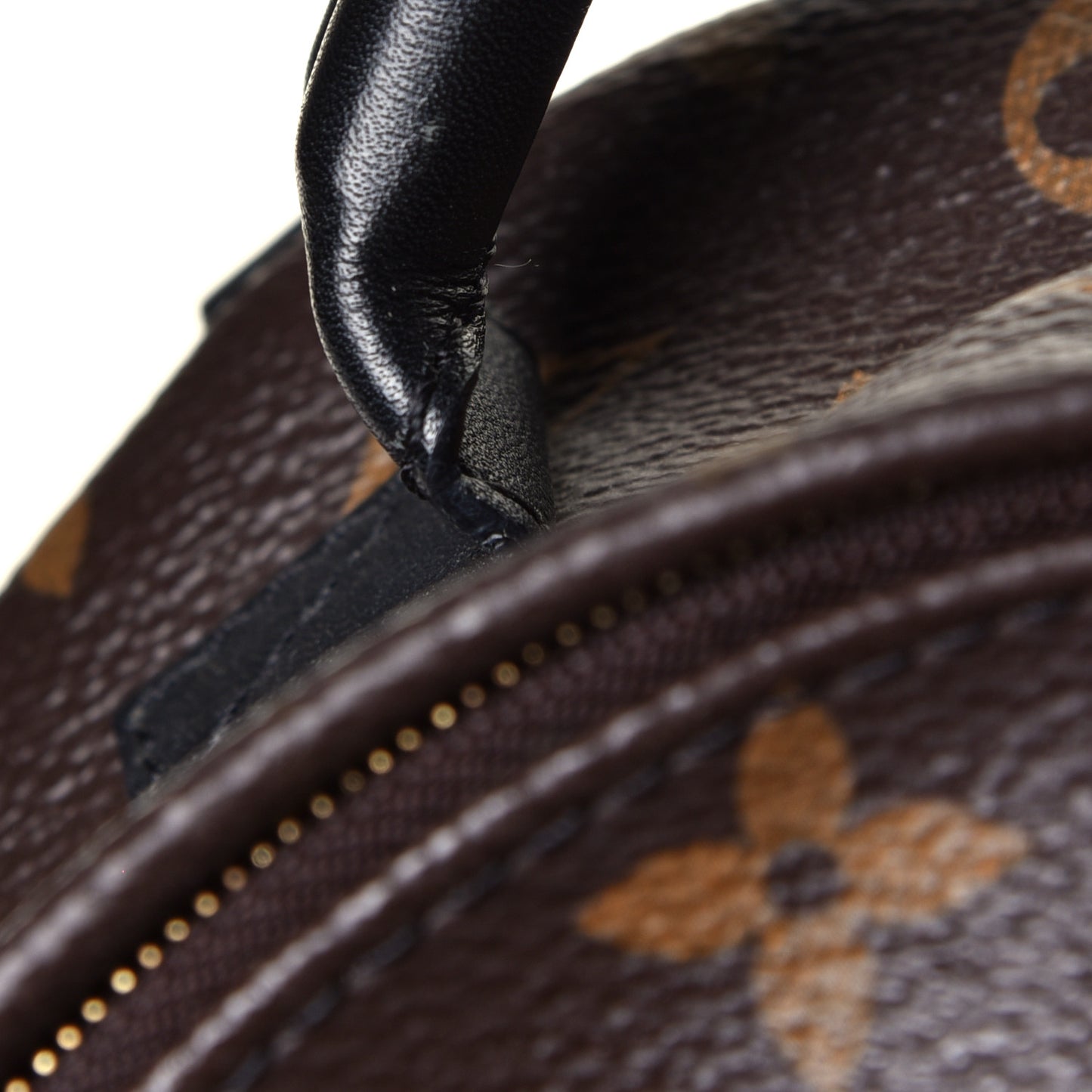 Monogram Palm Springs Backpack Mini