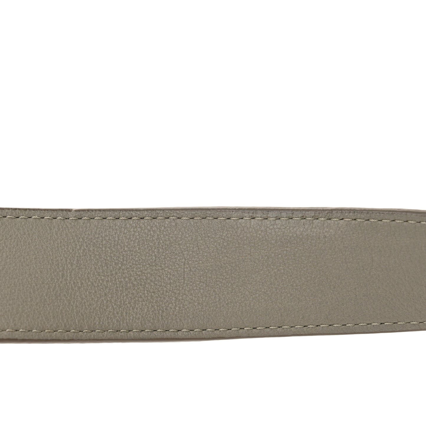 Monogram Lambskin Antheia Ixia MM Grey