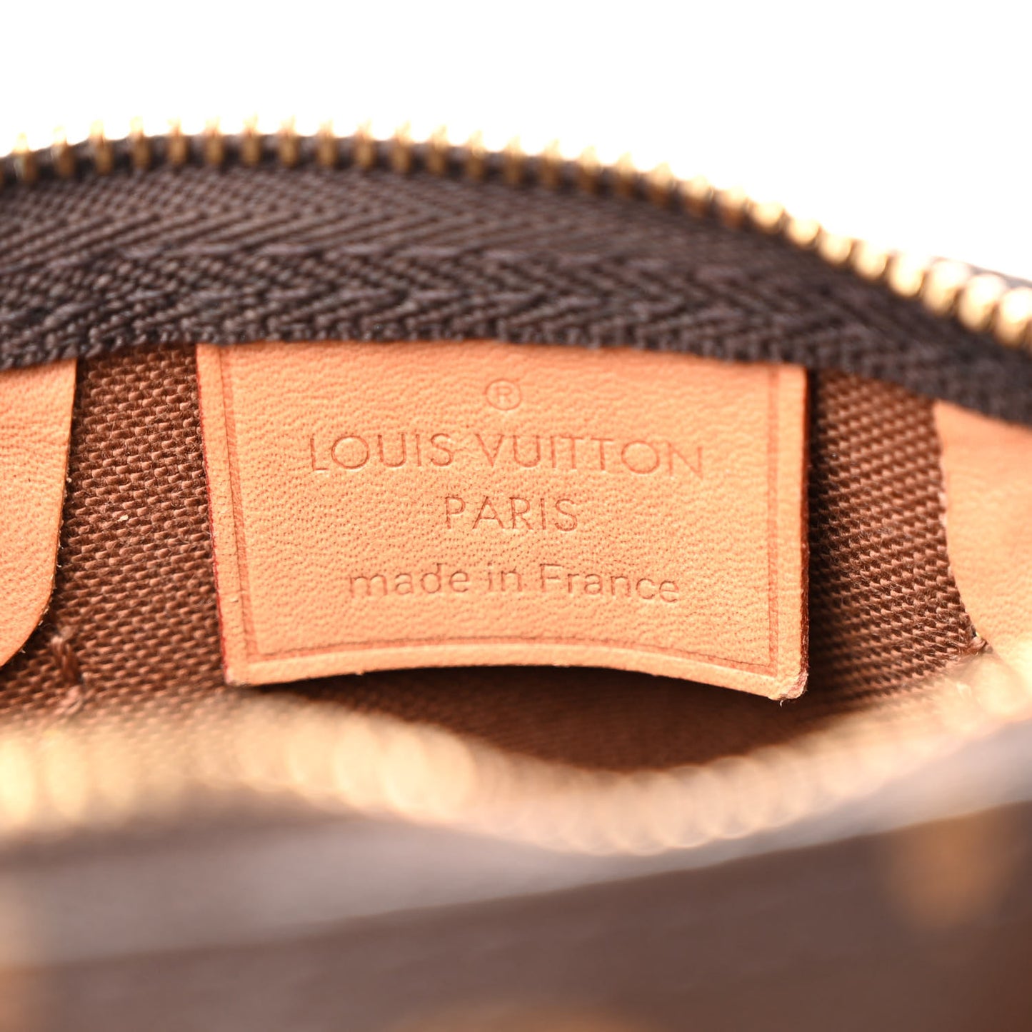 Monogram Nano Speedy
