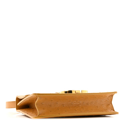 Christian Dior Ostrich 30 Montaigne Flap Bag Brown 3 of 13