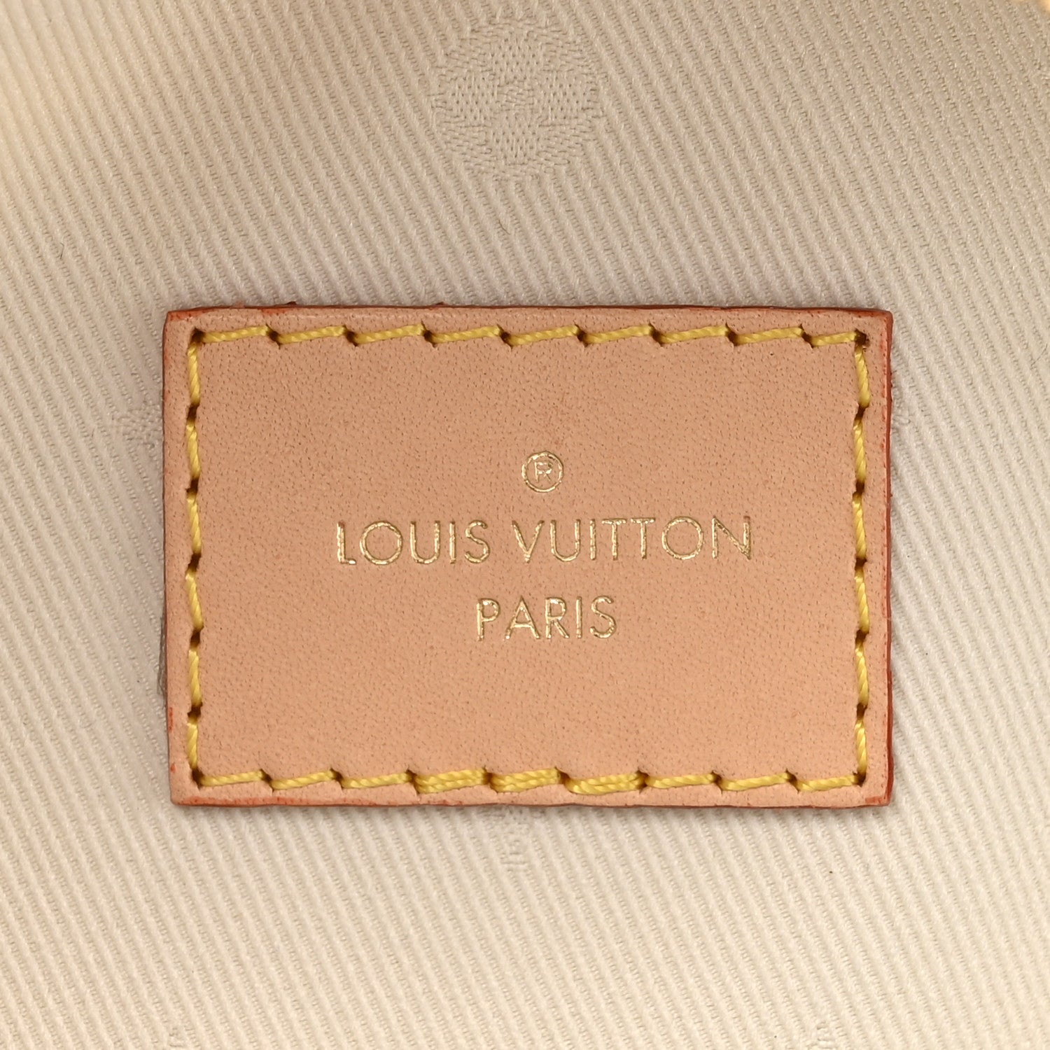 Louis Vuitton Monogram High Rise Bumbag 6 of 9