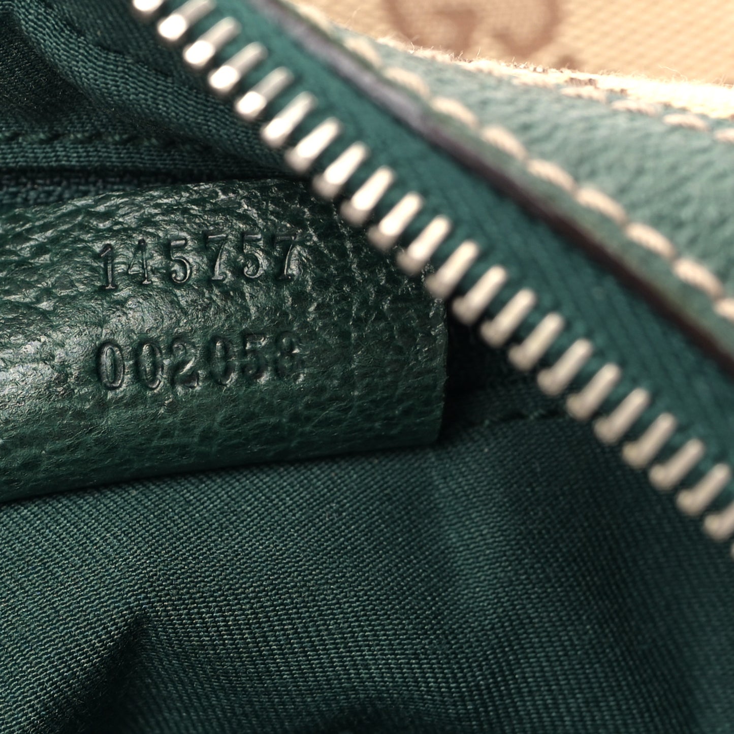 Monogram Medium Pop Hobo Green