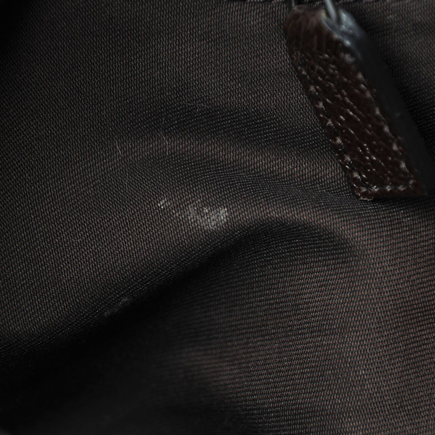 Monogram Web Medium Half Moon Hobo Dark Brown