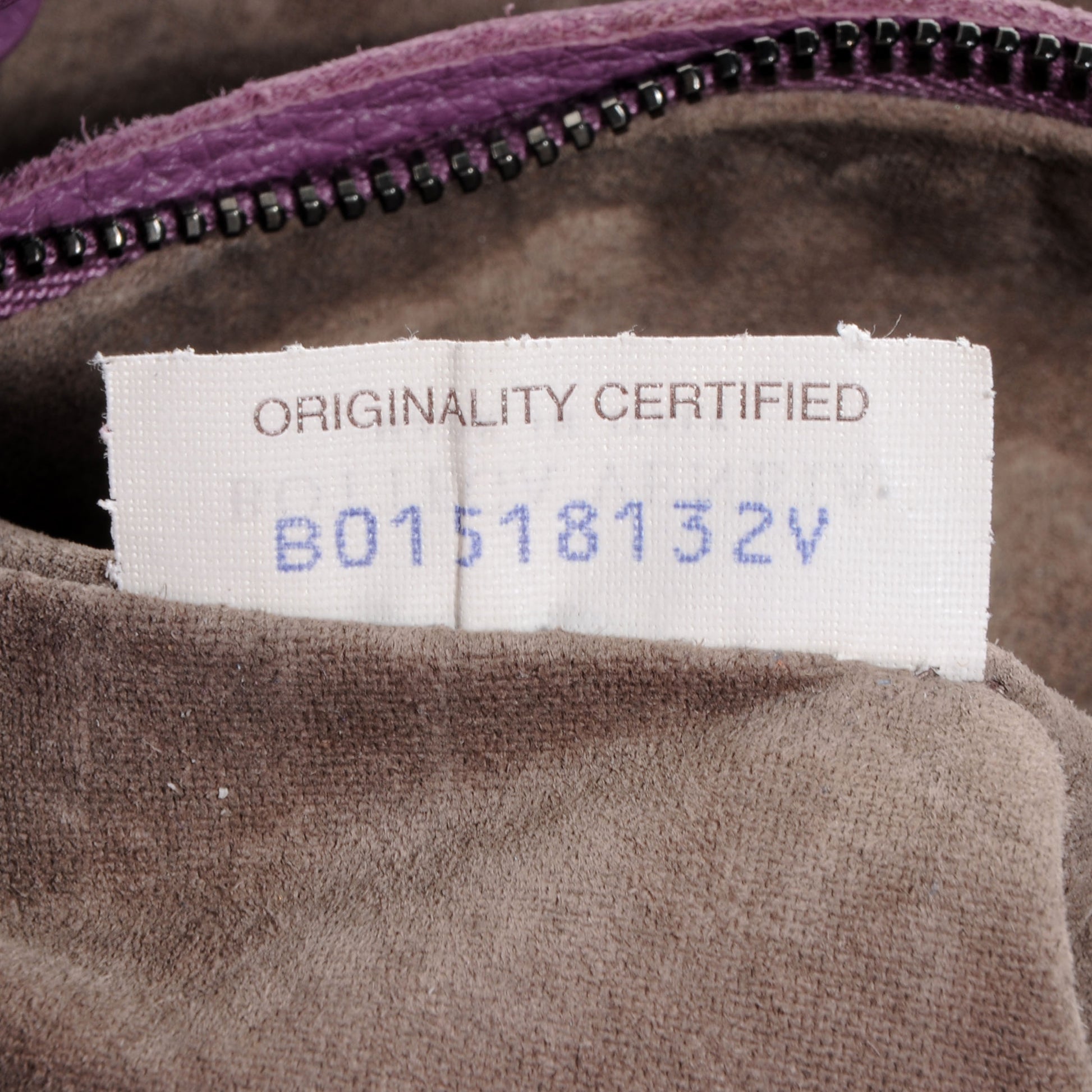 Bottega Veneta Cervo Deerskin Large Hobo Corot 8 of 8