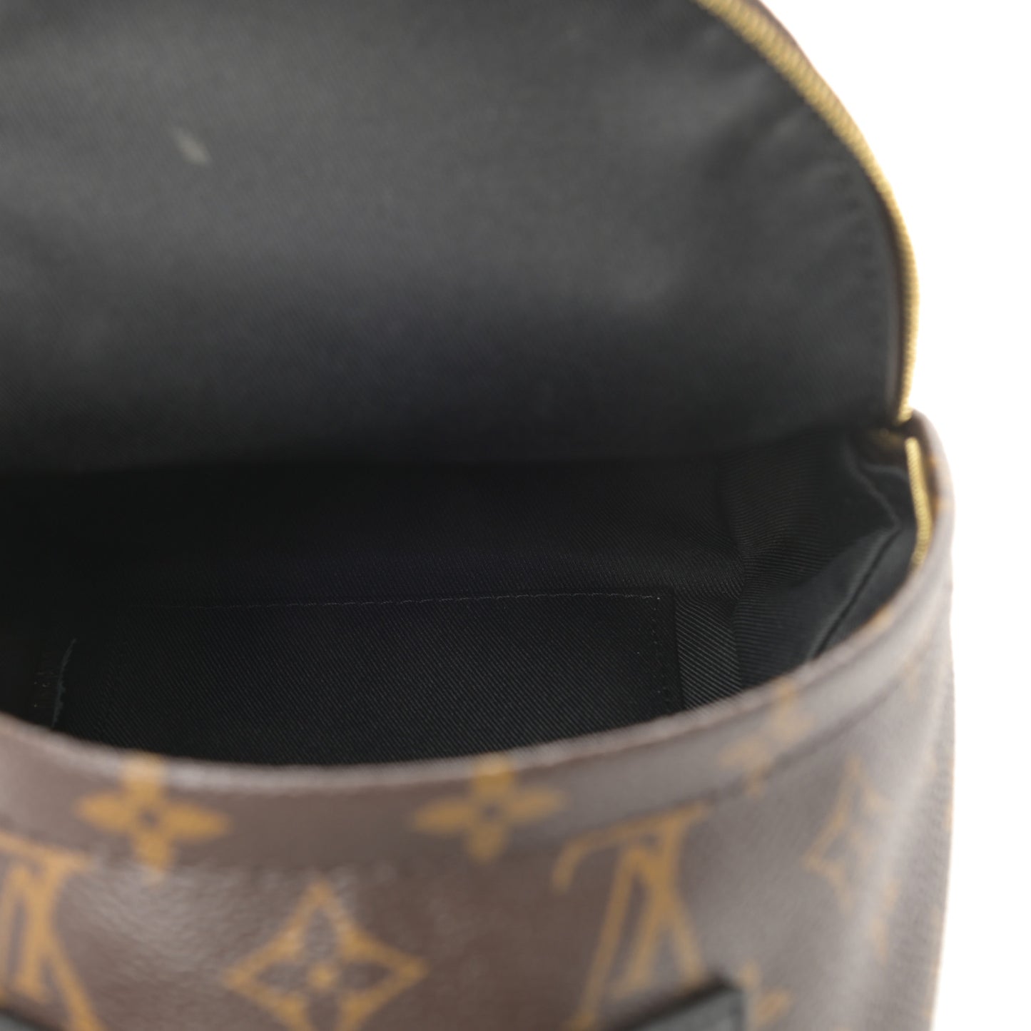 Monogram Palm Springs Backpack Mini
