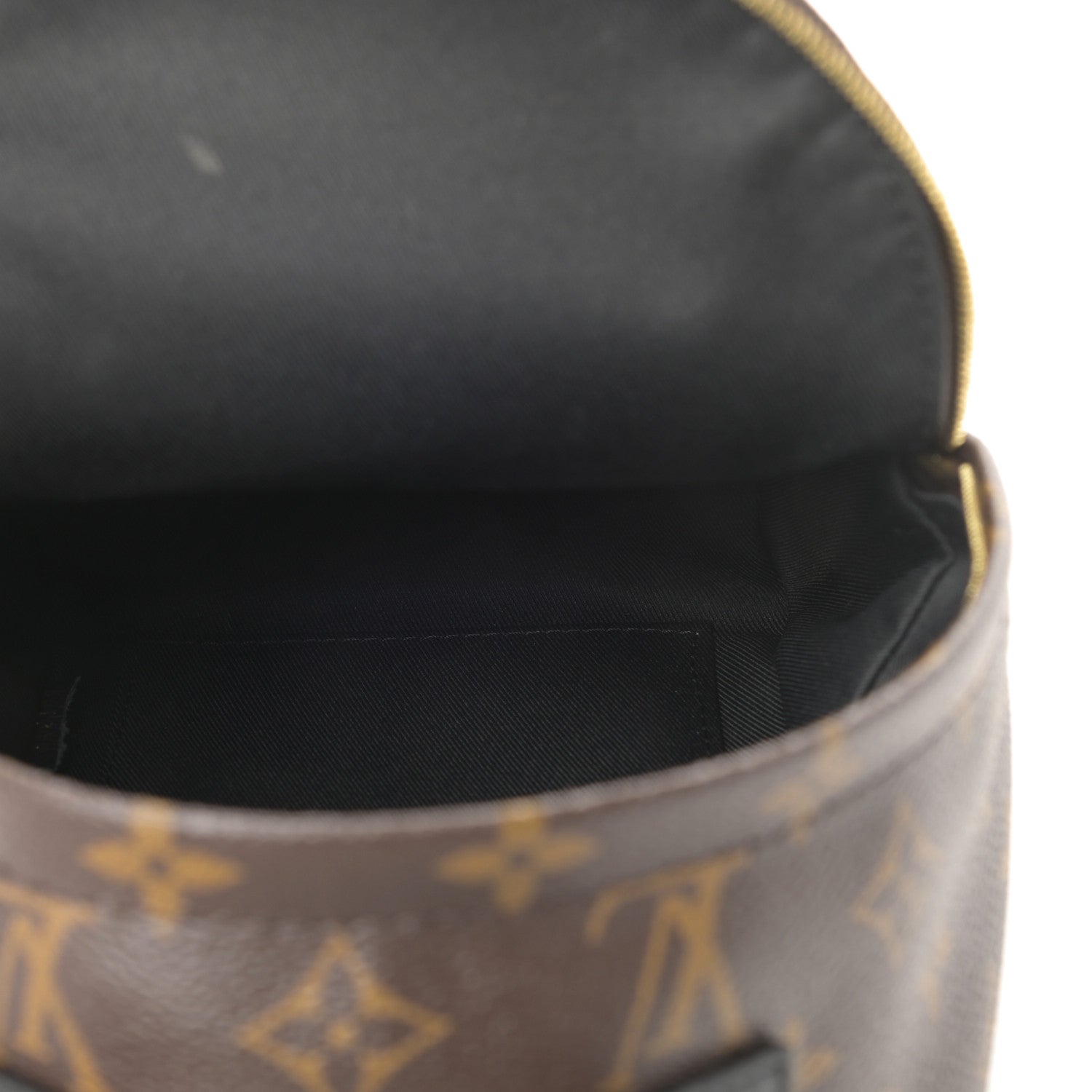 Louis Vuitton Monogram Palm Springs Backpack Mini 5 of 12