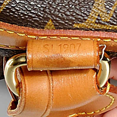 Monogram Sac Chien 40 Pet Carrier