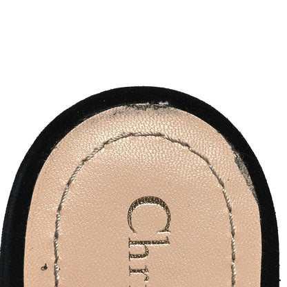 Christian Dior Mesh Plumetis Crystal Suede J'Adior Slingback 65mm Pumps 38.5 Nude Black 10 of 10