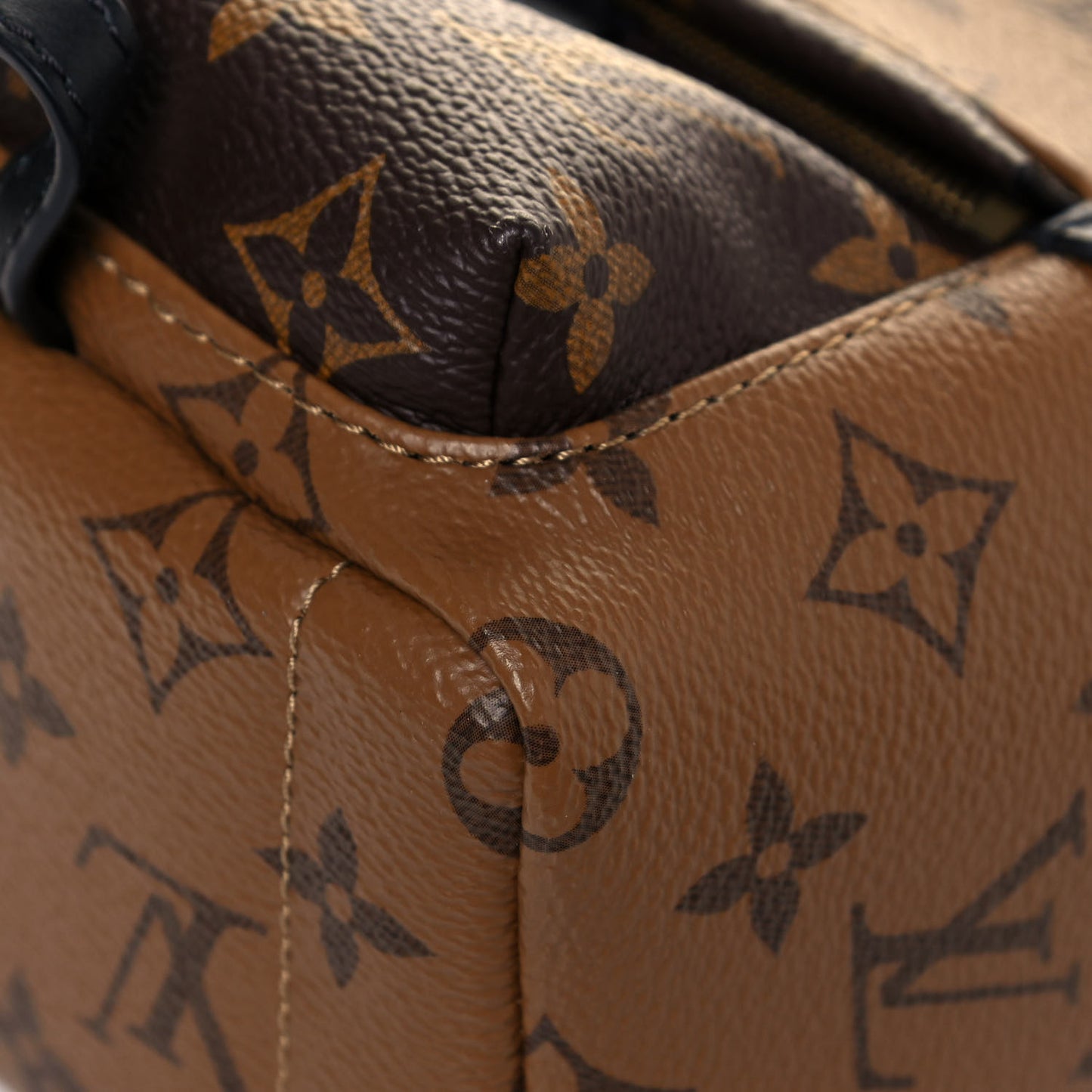 Reverse Monogram Palm Springs Backpack Mini