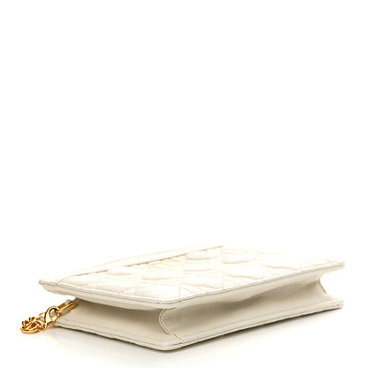 Christian Dior Calfskin Cannage Caro Zipped Pouch With Chain Latte 4 of 14