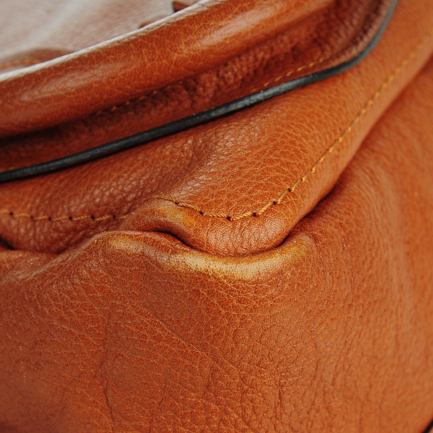 Chloe Calfskin Medium Paraty Caramel 12 of 15