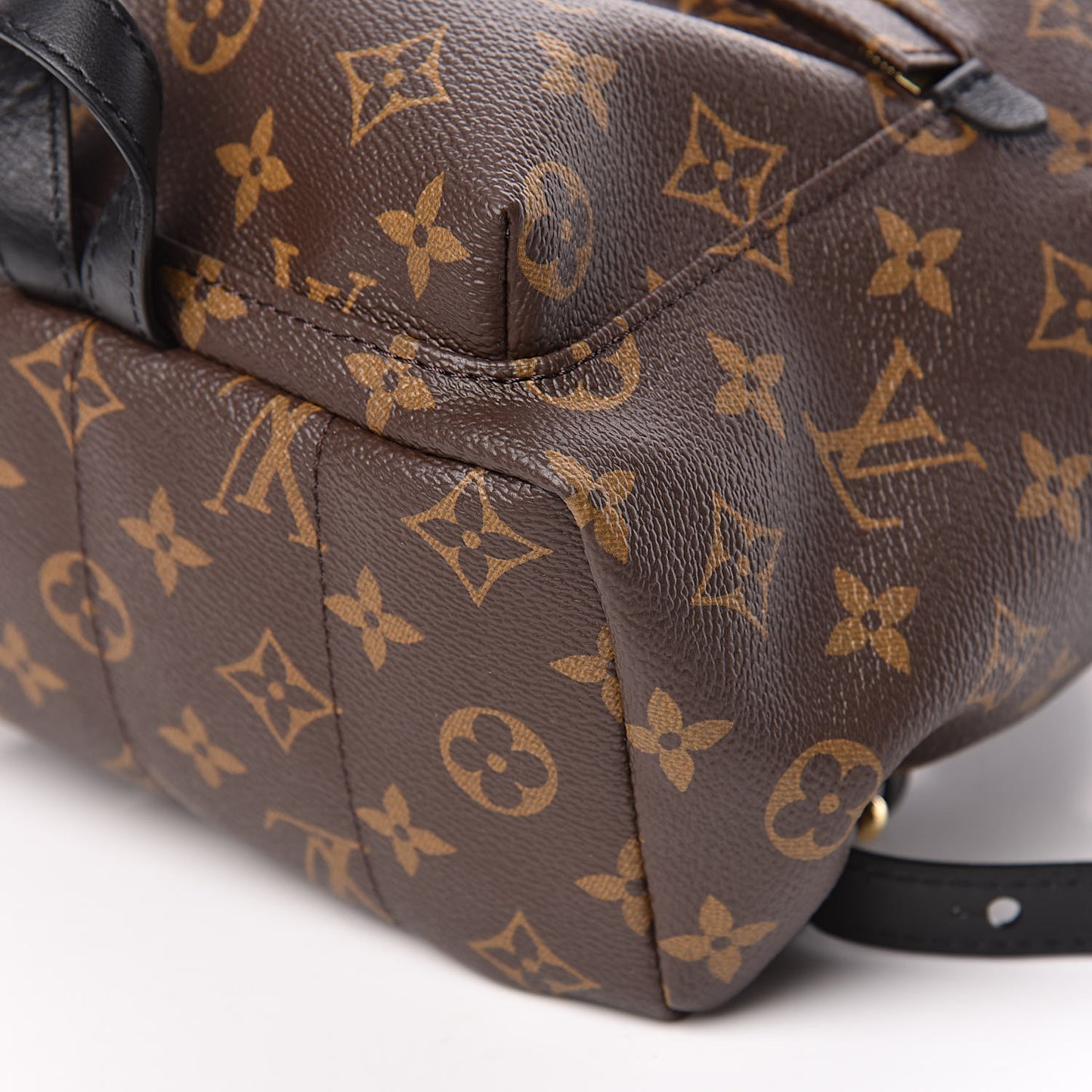 Monogram Palm Springs Backpack PM