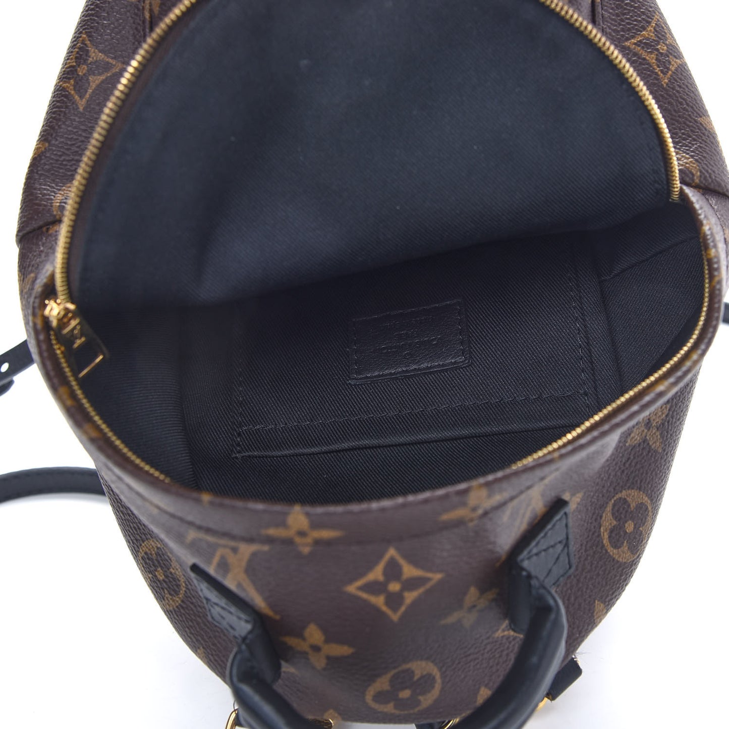Monogram Palm Springs Backpack Mini