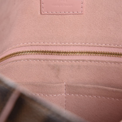Louis Vuitton Damier Ebene Caissa Hobo Rose Ballerine 7 of 13