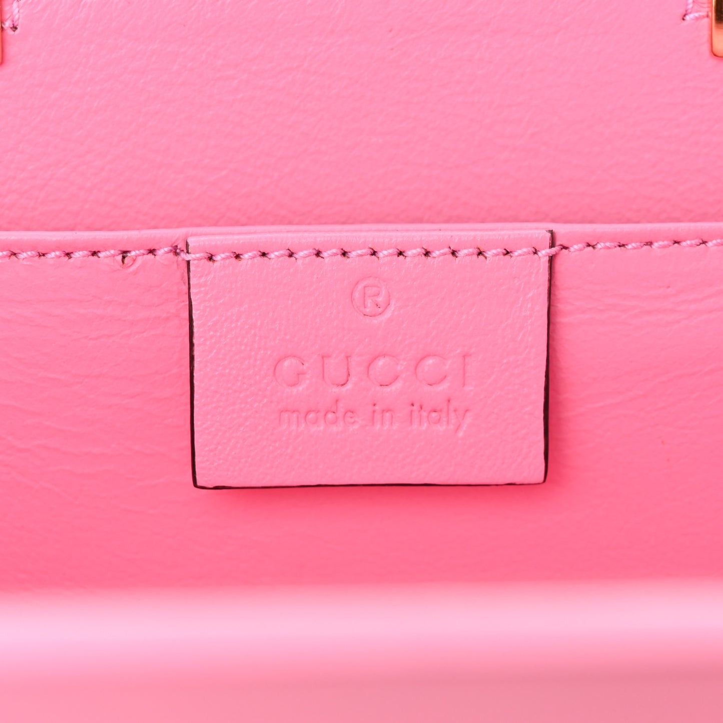 Plexiglass Mini Sylvie 1969 Top Handle Bag Pink
