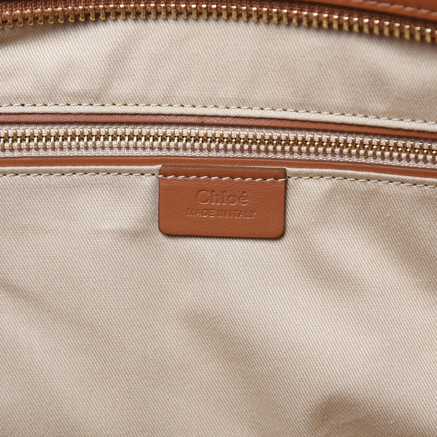 Smooth Calfskin Little Horses Embroidered Tao Zipped Tote Caramel