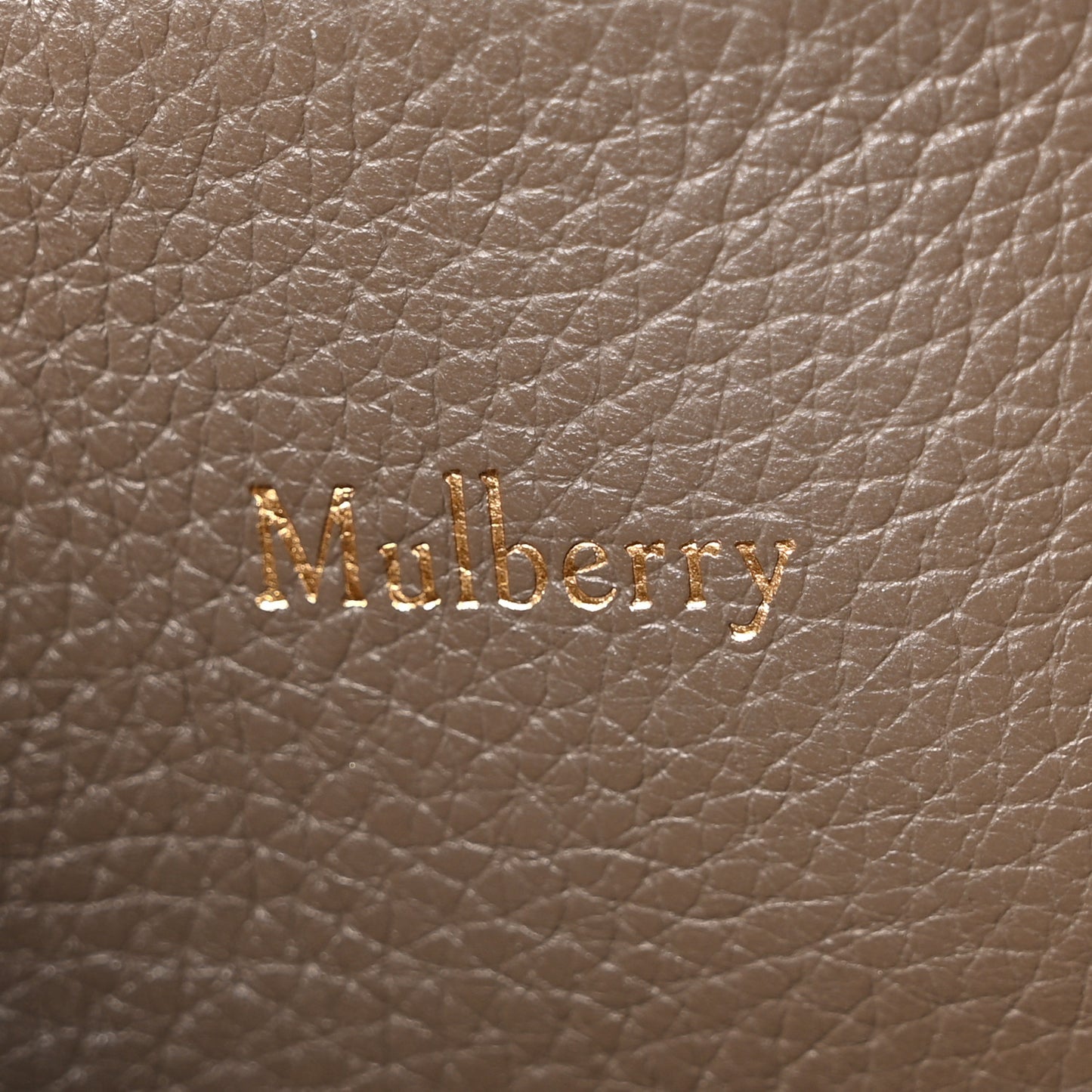 Small Classic Grain Calfskin Seaton Clay
