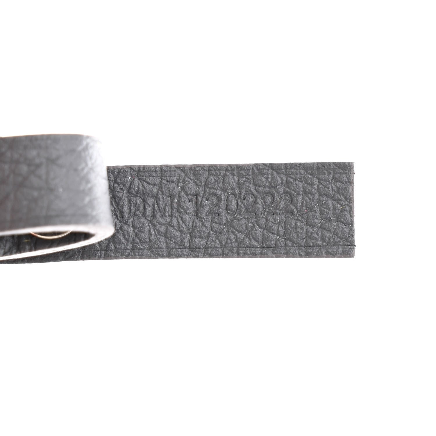 Goyard Goyardine Saint Louis PM Grey 9 of 12