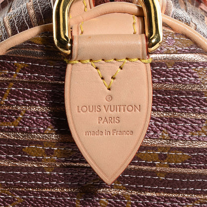Louis Vuitton Monogram Eden Speedy Peach Peach 8 of 8
