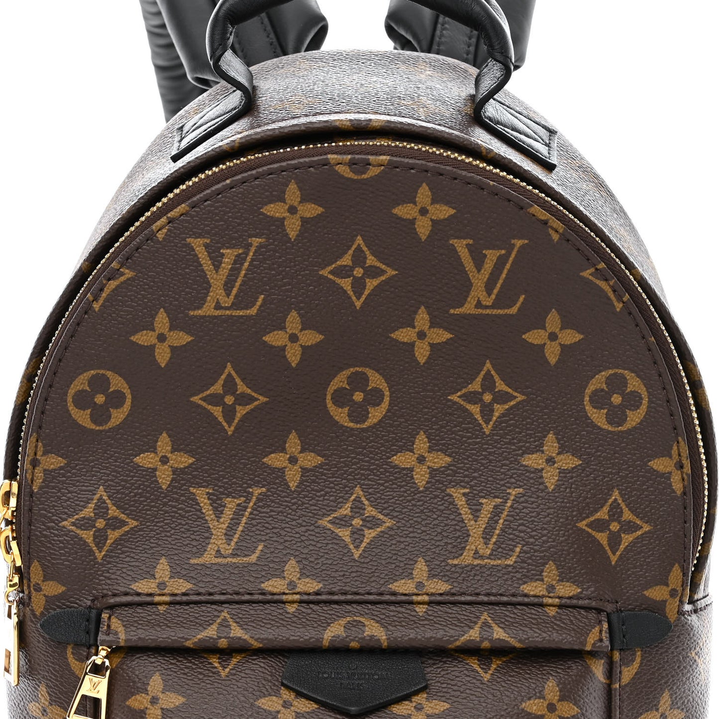 Monogram Palm Springs Backpack PM