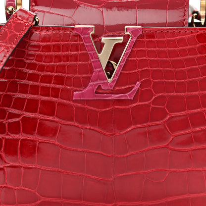 Louis Vuitton Crocodile Mini Capucines Rubis 7 of 9