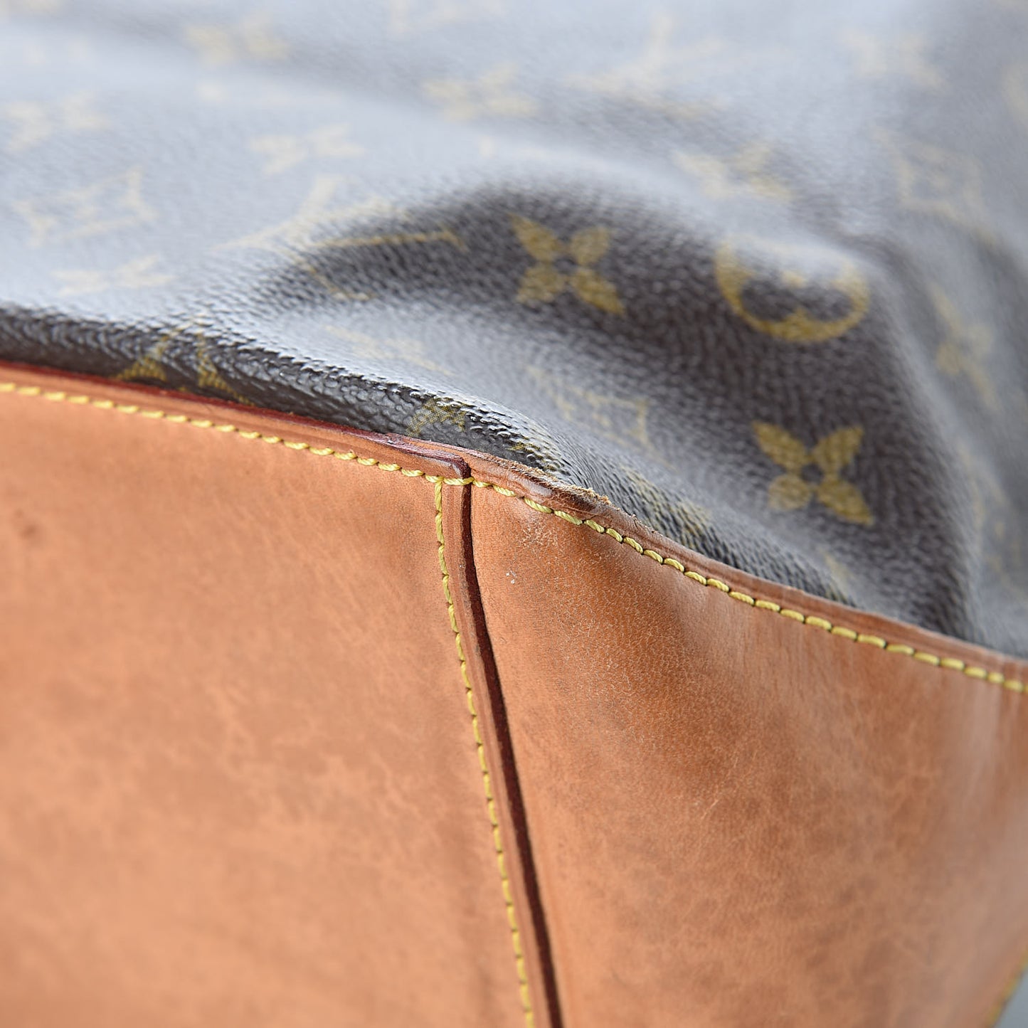 Monogram Cabas Mezzo