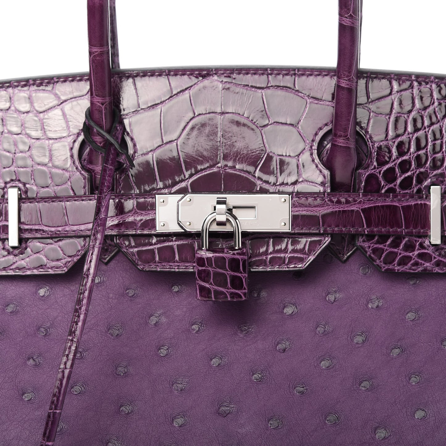 Ostrich Shiny Alligator Birkin Touch 30 Violine