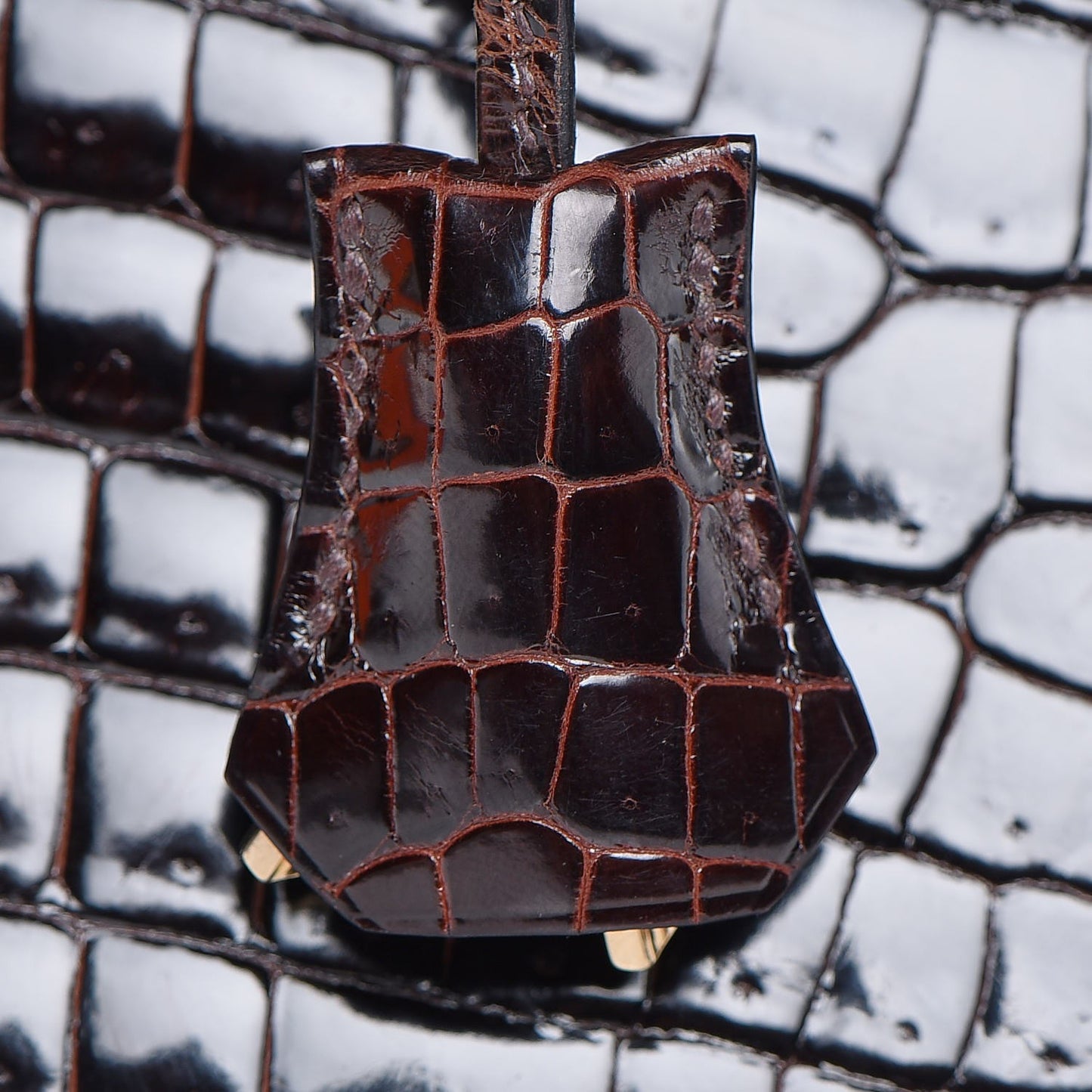 Shiny Porosus Crocodile Kelly Sellier 35 Havane