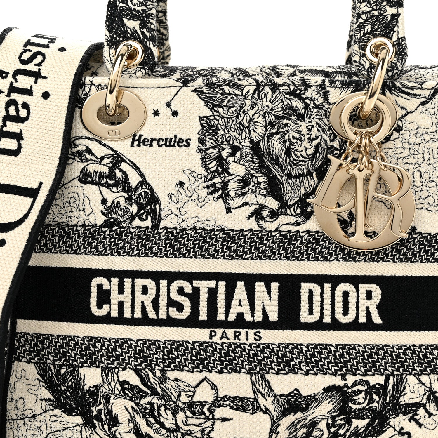 Christian Dior Canvas Embroidered Zodiac Toile De Jouy Medium Lady D-Lite Latte 8 of 11