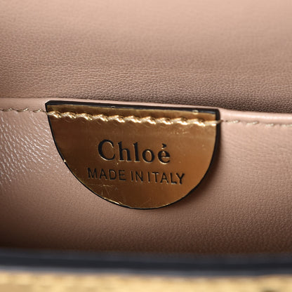 Chloe Metallic Calfskin Small Elsie Shoulder Bag Gold 6 of 16