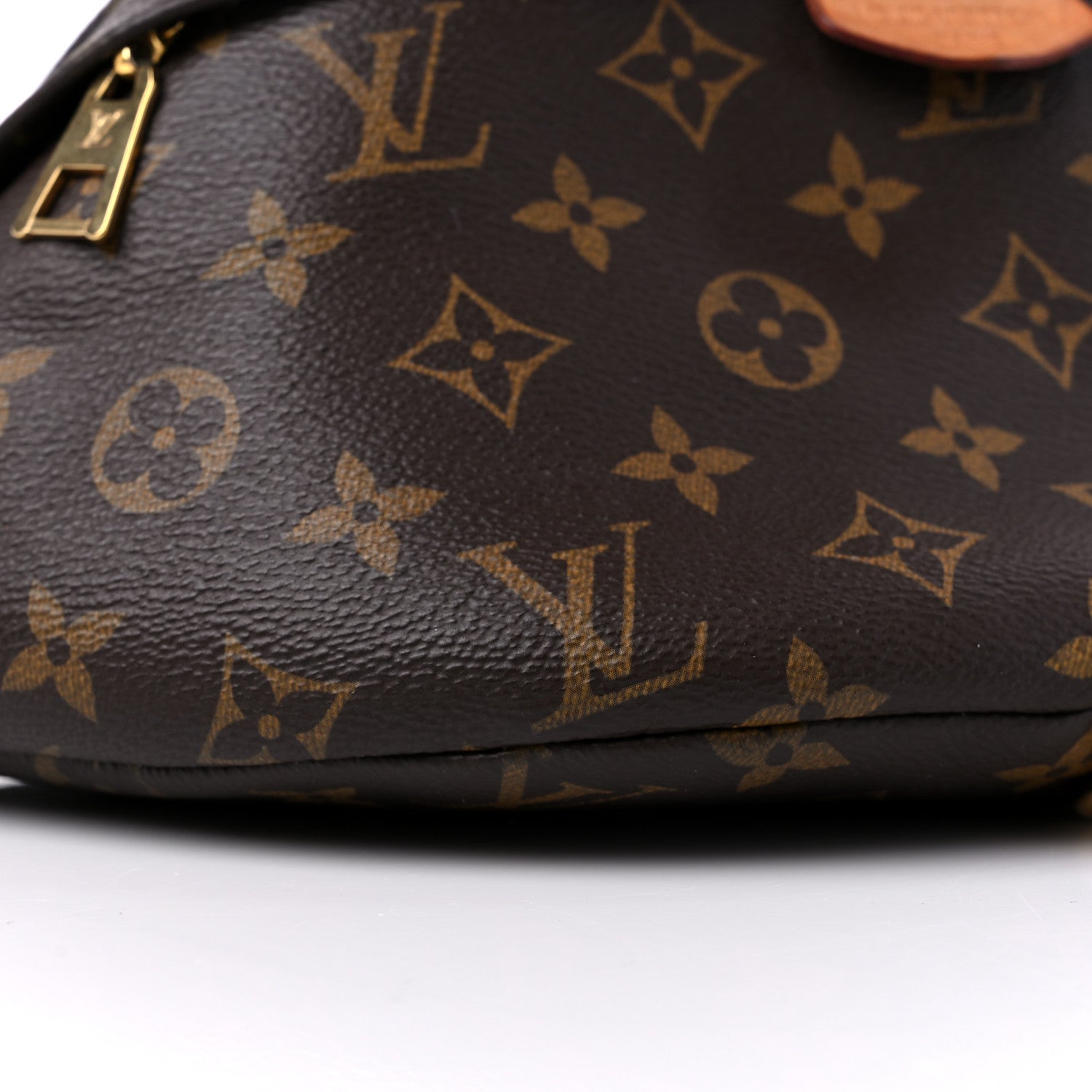 Louis Vuitton Monogram Bumbag 8 of 15