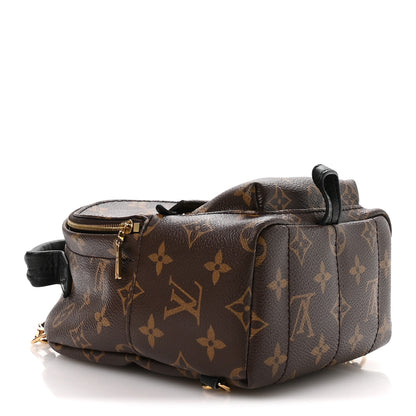 Louis Vuitton Monogram Palm Springs Backpack Mini 4 of 9