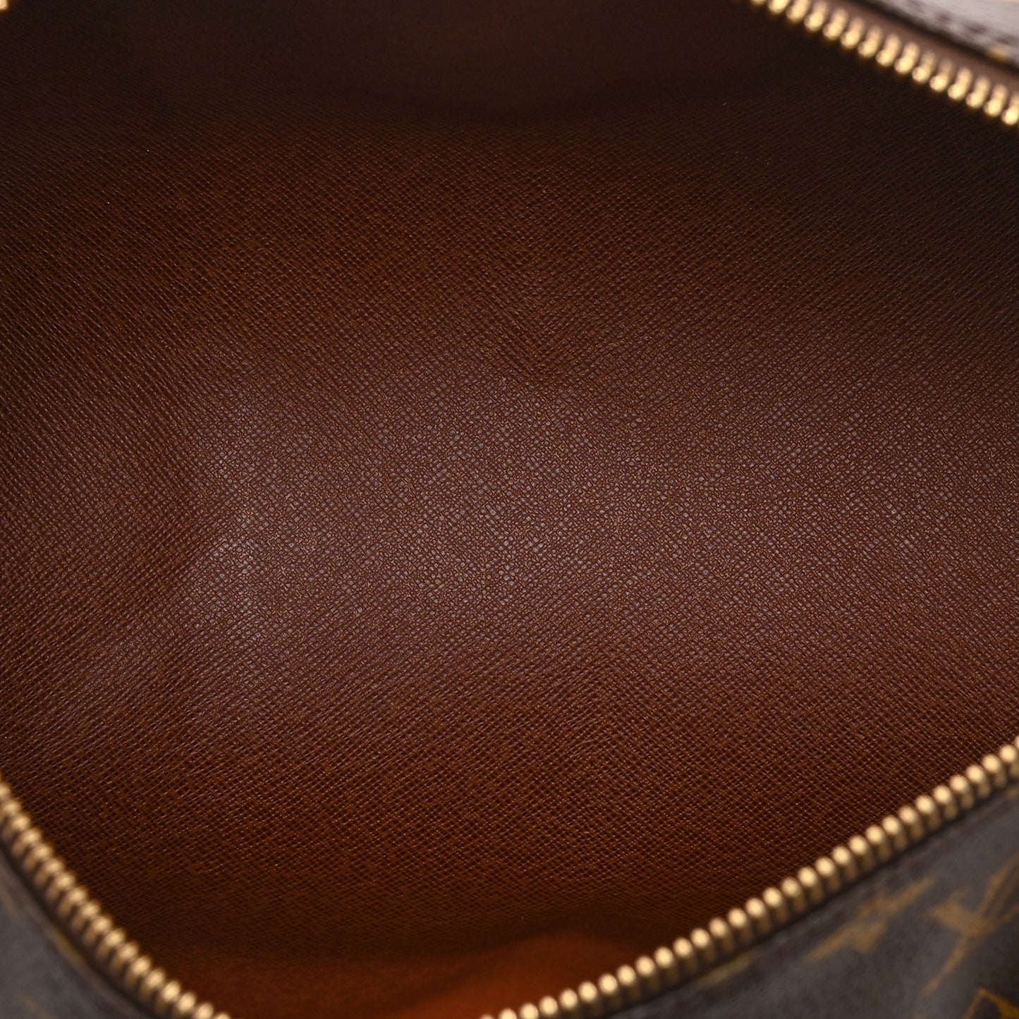 Monogram Papillon 30 with Companion