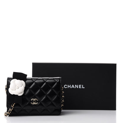 Chanel Lambskin Quilted Mini Camellia Bow Wallet On Chain WOC Black 11 of 11