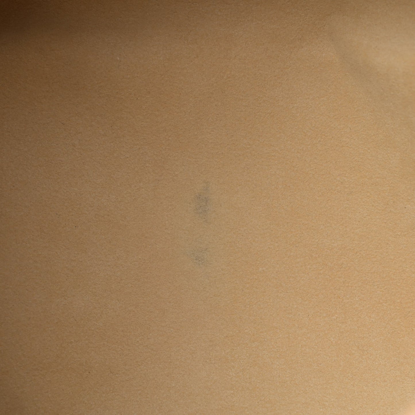 Monogram Galliera PM