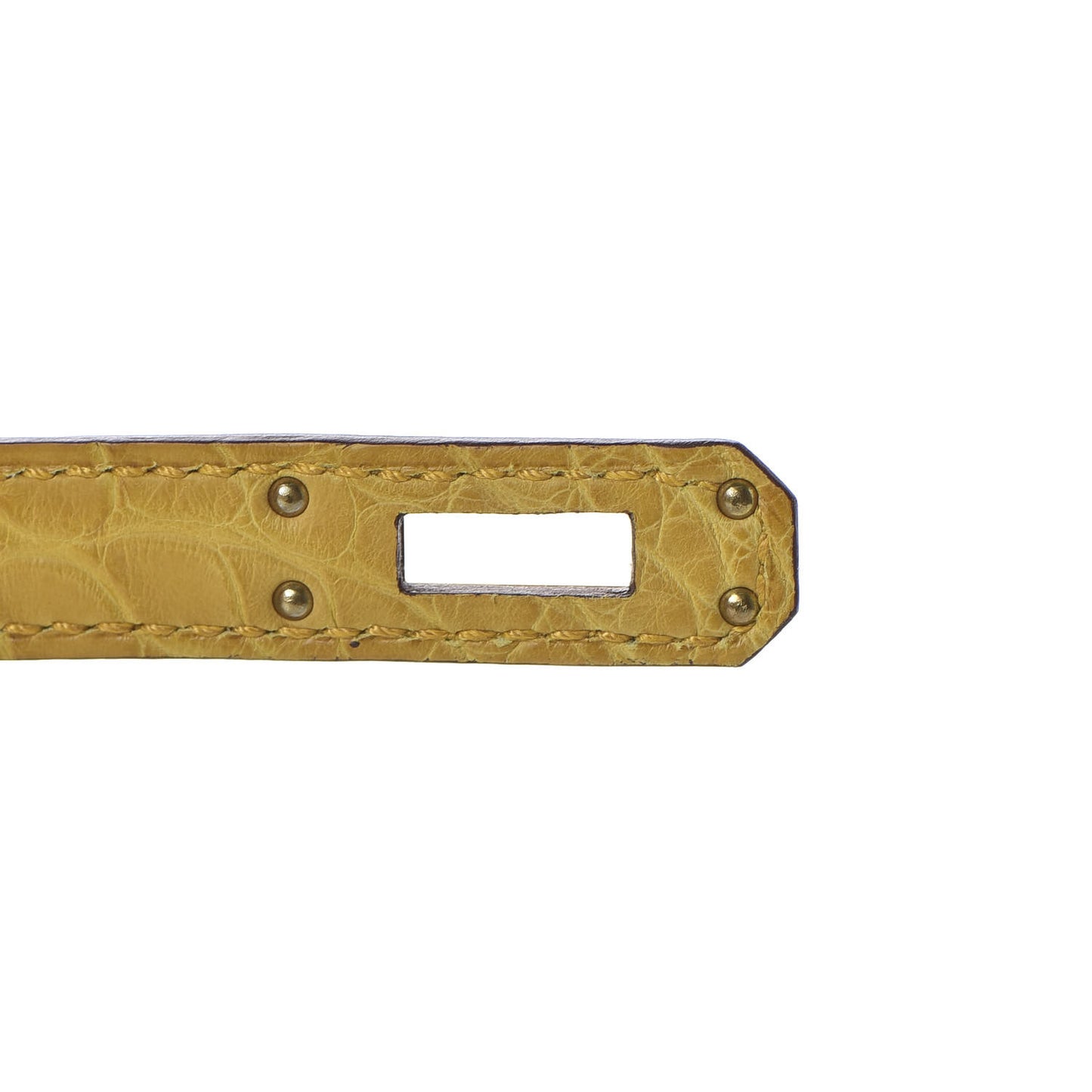 Matte Alligator Birkin 25 Jaune Ambre