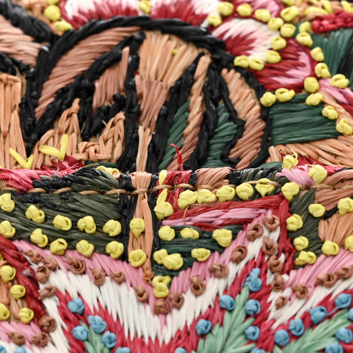 Raffia Floral Embroidered Small Caro Bag Multicolor