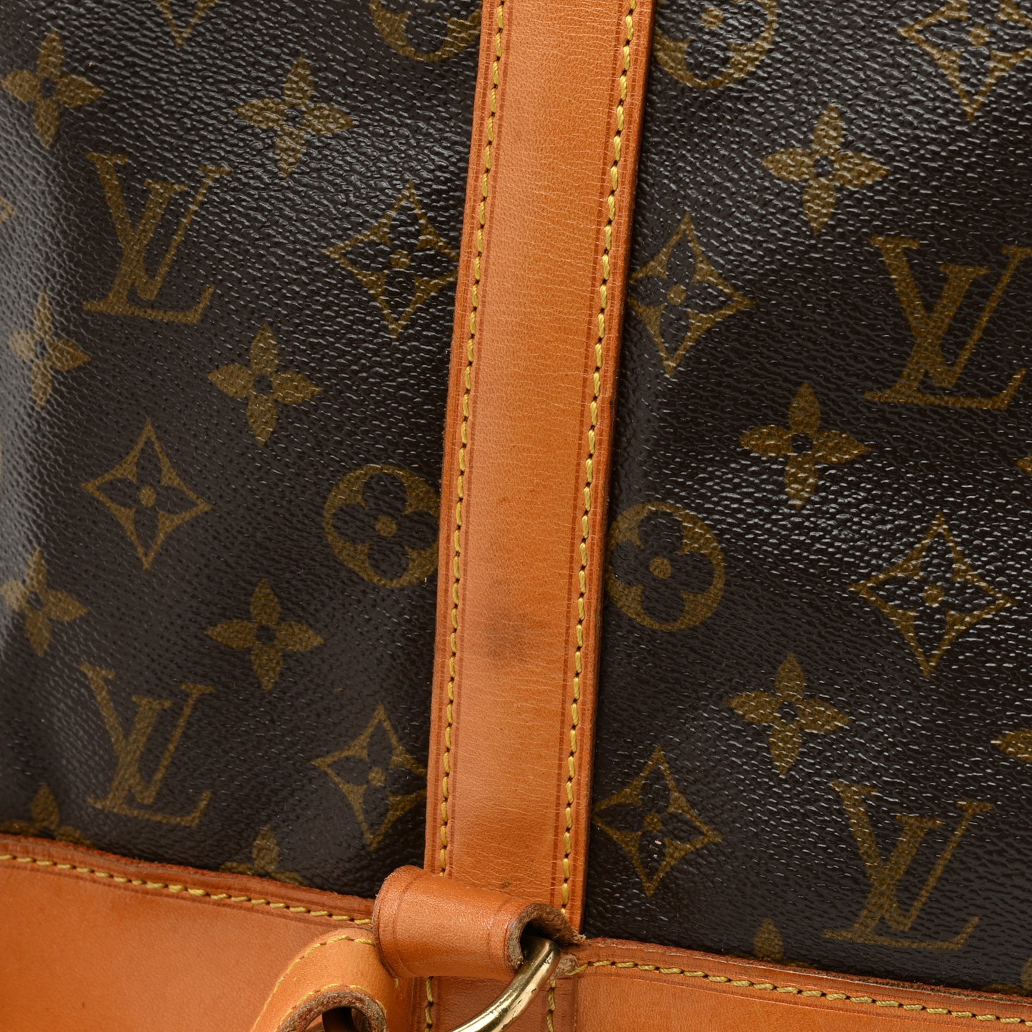 Monogram Randonnee GM Backpack