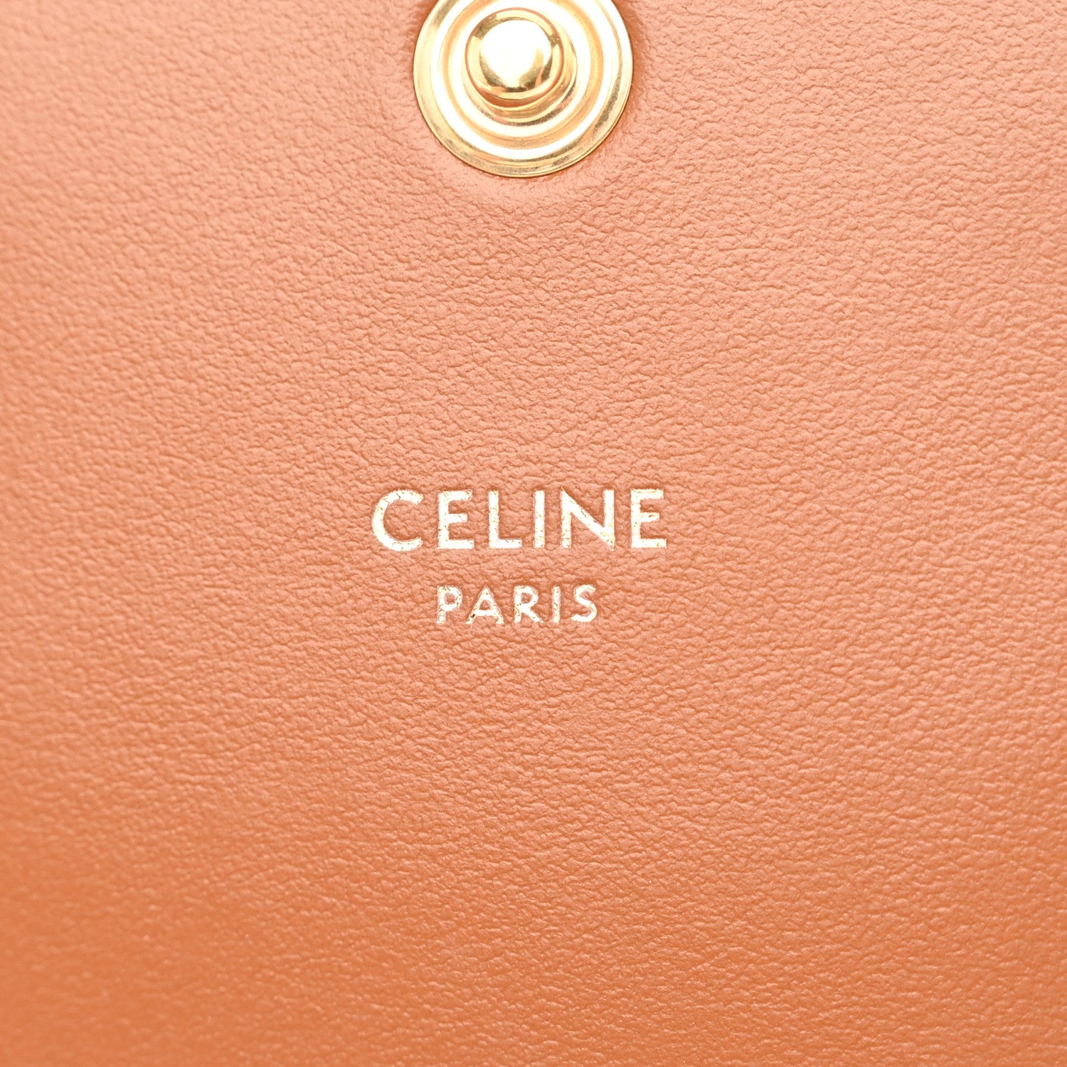 Celine Canvas Calfskin Triomphe Multipochette Grege 6 of 11