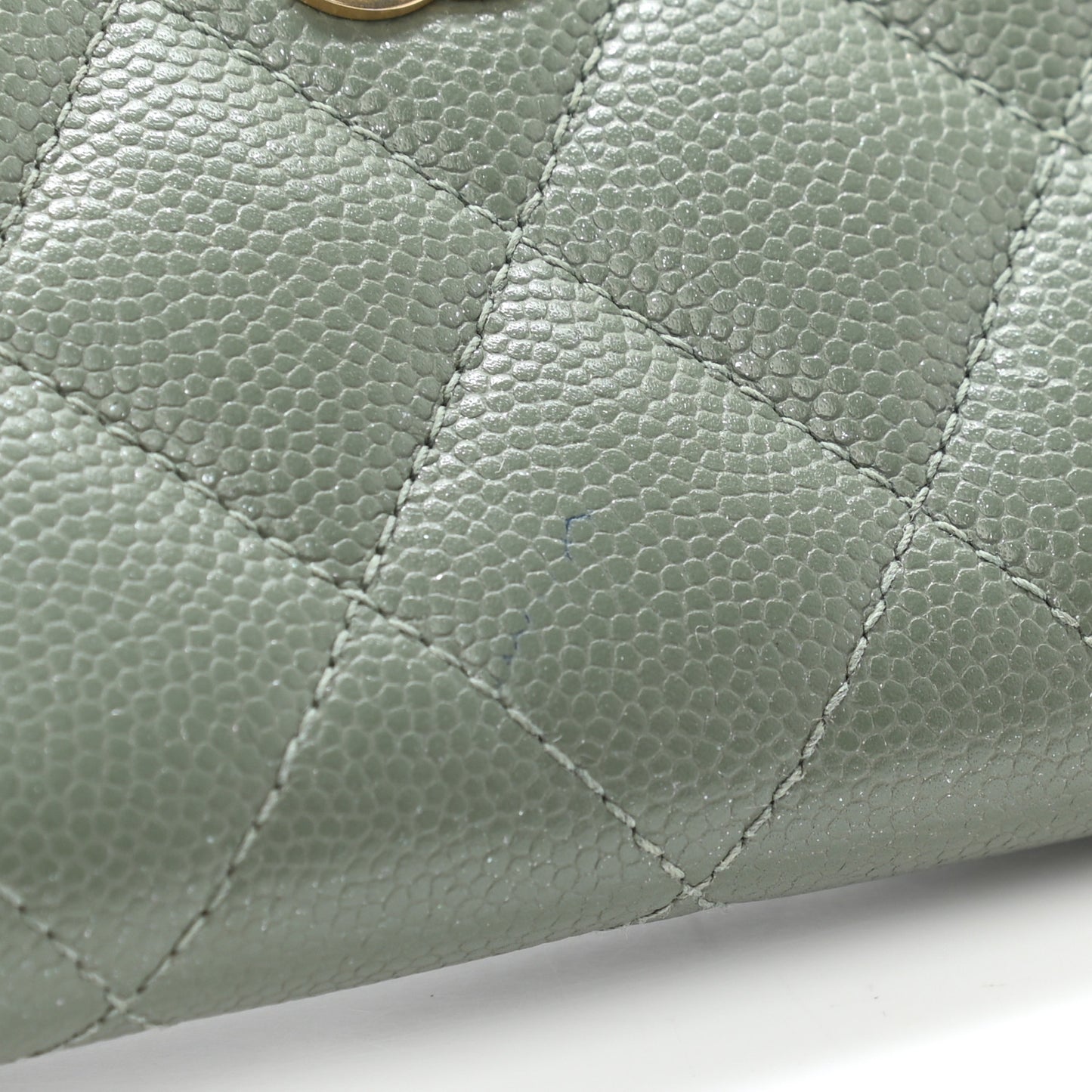 Iridescent Caviar Quilted Zip Coin Purse Green