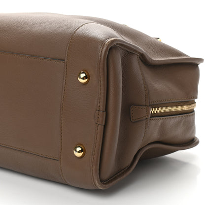 Loewe Calfskin Amazona 36 Mink 9 of 10