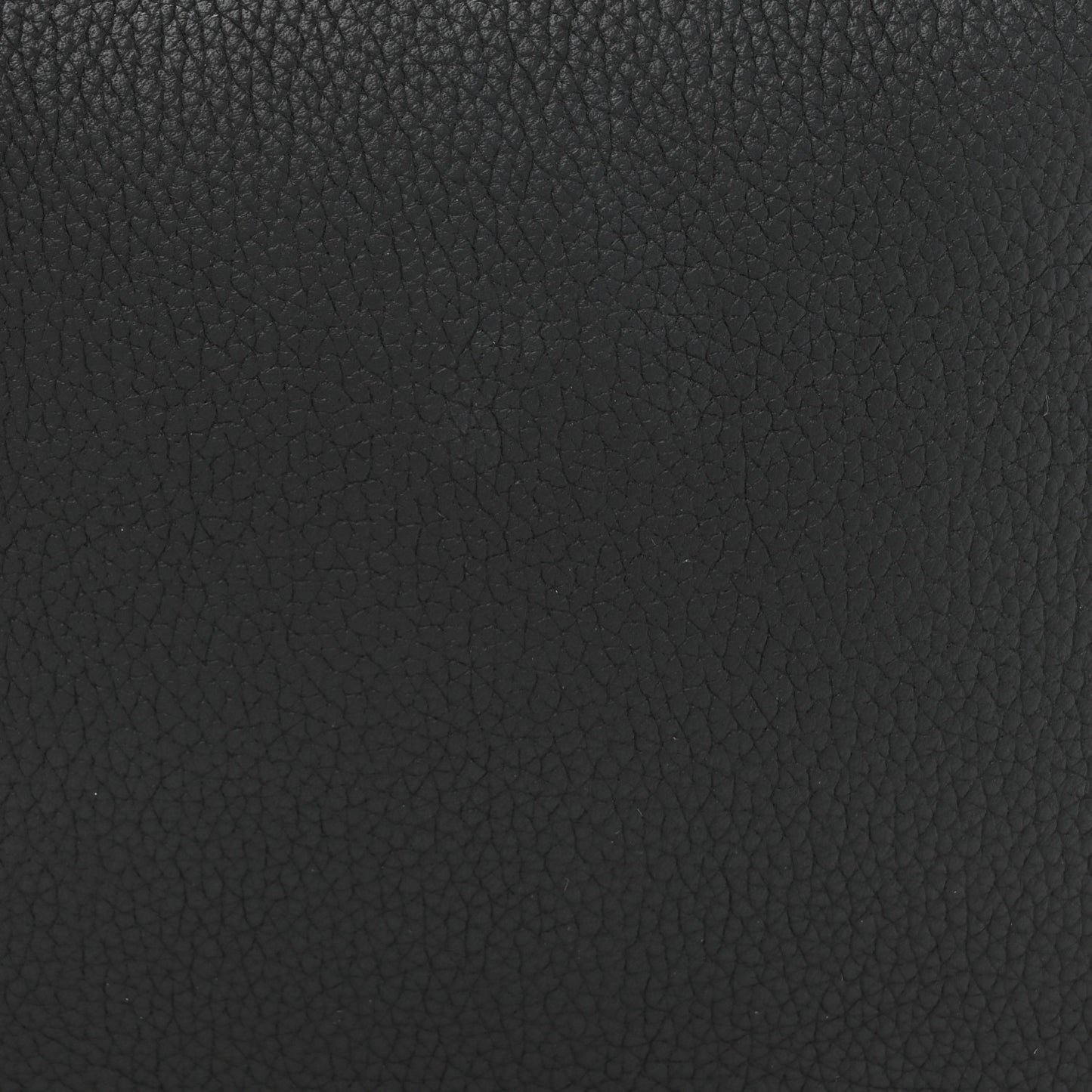 Calfskin Side Trunk MM Black