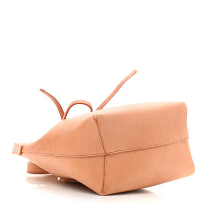 Mansur Gavriel Vegetable Tanned Calfskin Mini Bucket Bag Camello Rosa 3 of 10