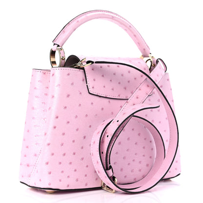 Louis Vuitton Ostrich Capucines BB Pear 3 of 8
