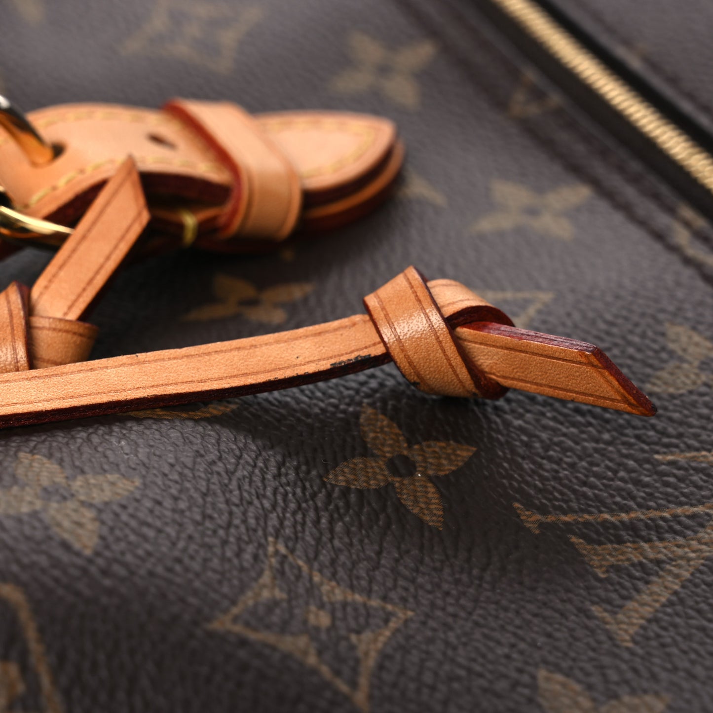 Monogram Montsouris NM Backpack
