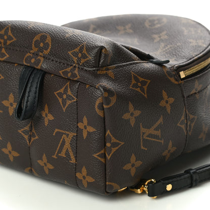 Louis Vuitton Monogram Palm Springs Backpack Mini 10 of 10