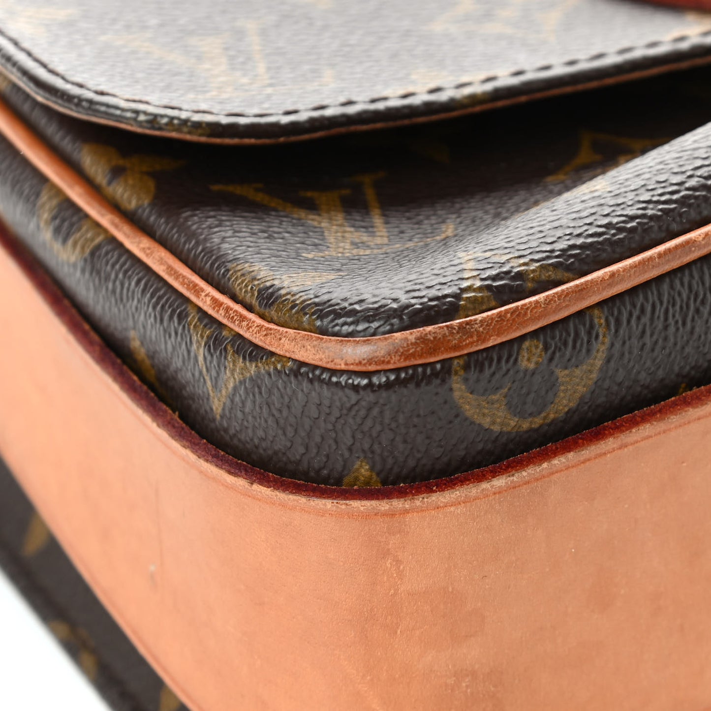 Monogram Cartouchiere 22